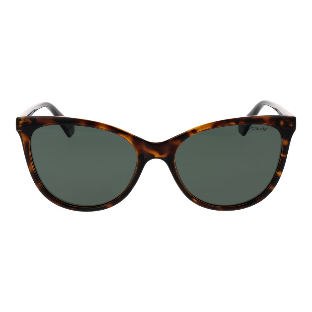 Polaroid Brown Plastic Sunglasses