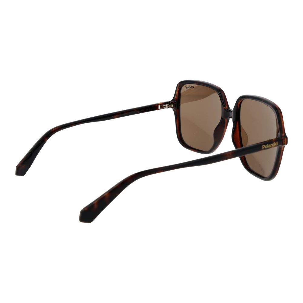 Polaroid Brown Plastic Sunglasses
