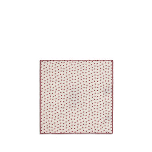 Brunello Cucinelli Multicolor Silk Scarf