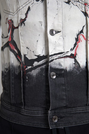 Dolce & Gabbana Multicolor Cotton Collared Denim Jacket