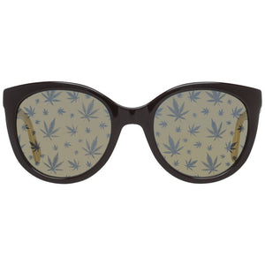 Police Brown Acetate Sunglasses