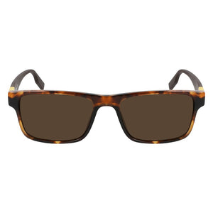 Converse Brown Acetate Sunglasses