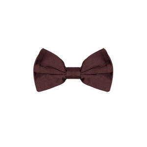 Dolce & Gabbana Burgundy Silk Bowtie