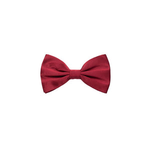 Dolce & Gabbana Red Silk Bowtie
