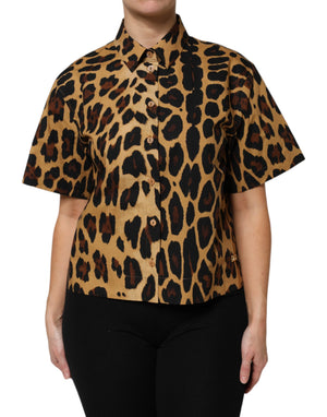 Dolce & Gabbana Brown Leopard Short Sleeve Collared Polo Top