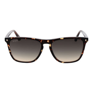 Web Brown Acetate Sunglasses