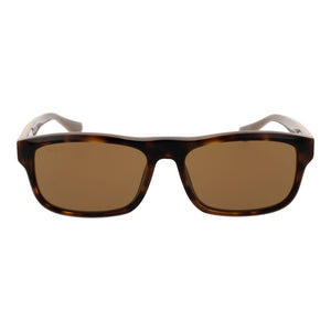 Web Brown Acetate Sunglasses