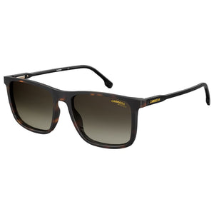 Carrera Brown Injected Sunglasses