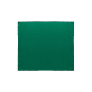 Dolce & Gabbana Green Silk Pocket Square