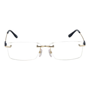 BMW Gold Titanium Glasses (Frames)