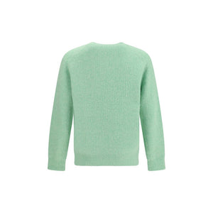 Sunflower Green Alpaca Vicugna Pacos Sweatshirt