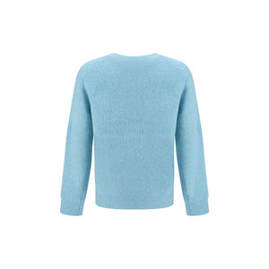 Sunflower Light Blue Alpaca Vicugna Pacos Sweatshirt