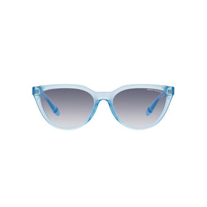 Armani Exchange Blue Acetate Sunglasses