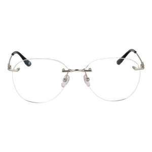 BMW Silver Titanium Glasses (Frames)