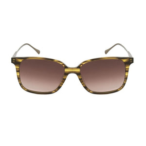Belstaff Brown Titanium Sunglasses