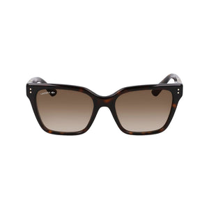 Lacoste Brown Acetate Sunglasses